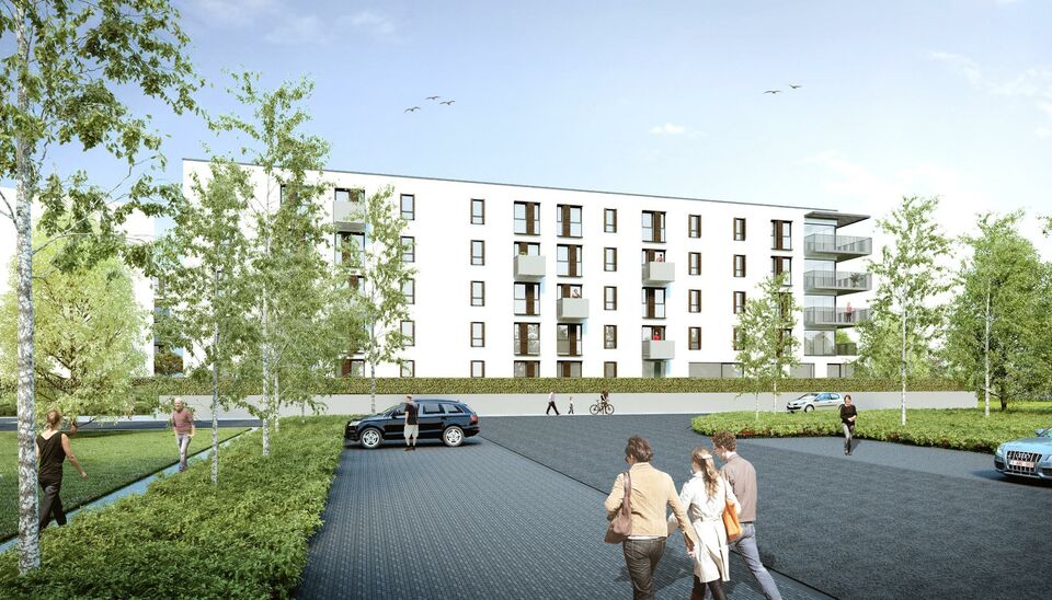 Project 'Rundskop' in Beringen Koersel