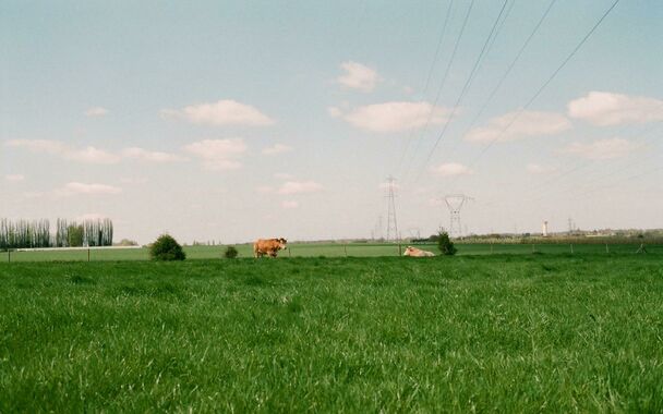 Building ground for sale in Pelt