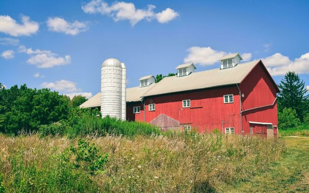 Farm for sale in Antwerpen