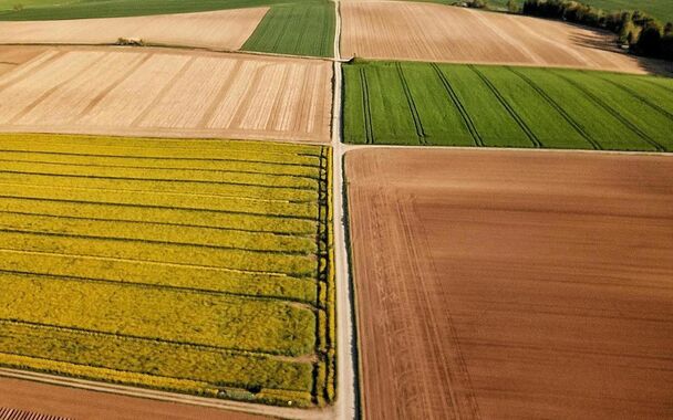 Field for sale in Kortrijk