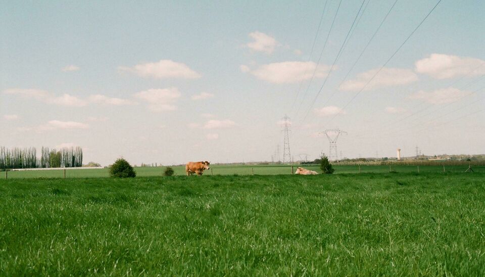 Bouwgrond te koop in Pelt
