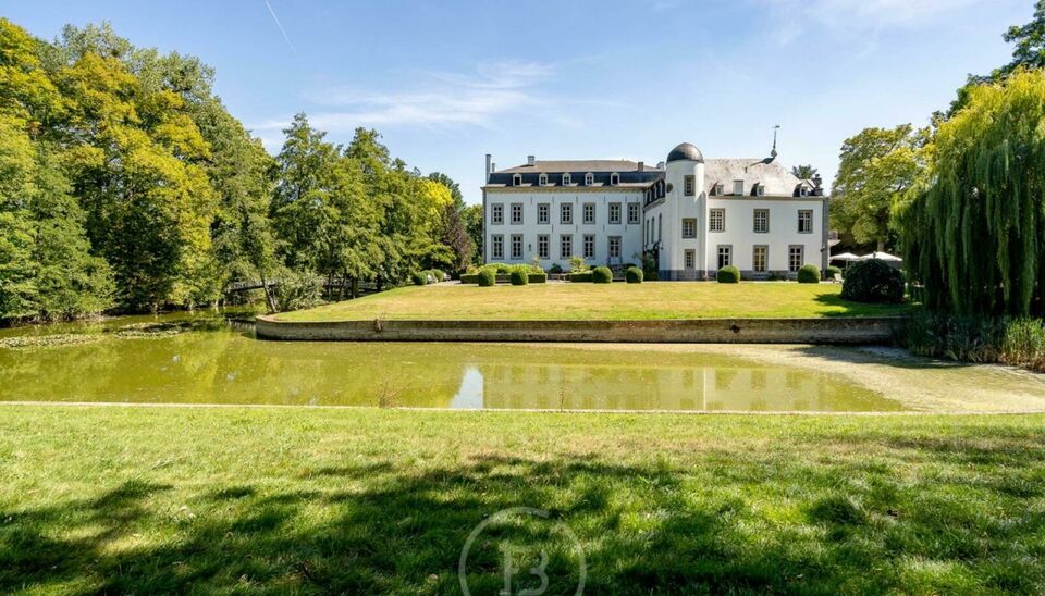 Château à vendre à Borgloon