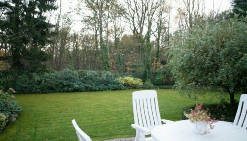 House for rent in Wetteren